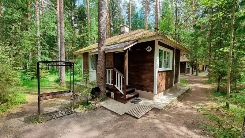 База отдыха Аврора, Лужский район, Ленинградская область