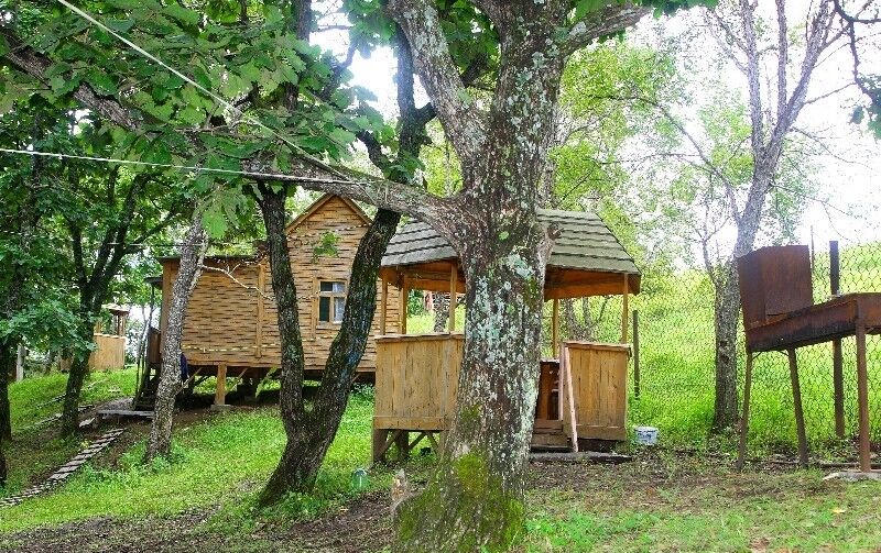 База отдыха Дубки, село Андреевка, Приморский край