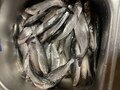 Фото 5 из отзыва о рыболовной базе Поплавок