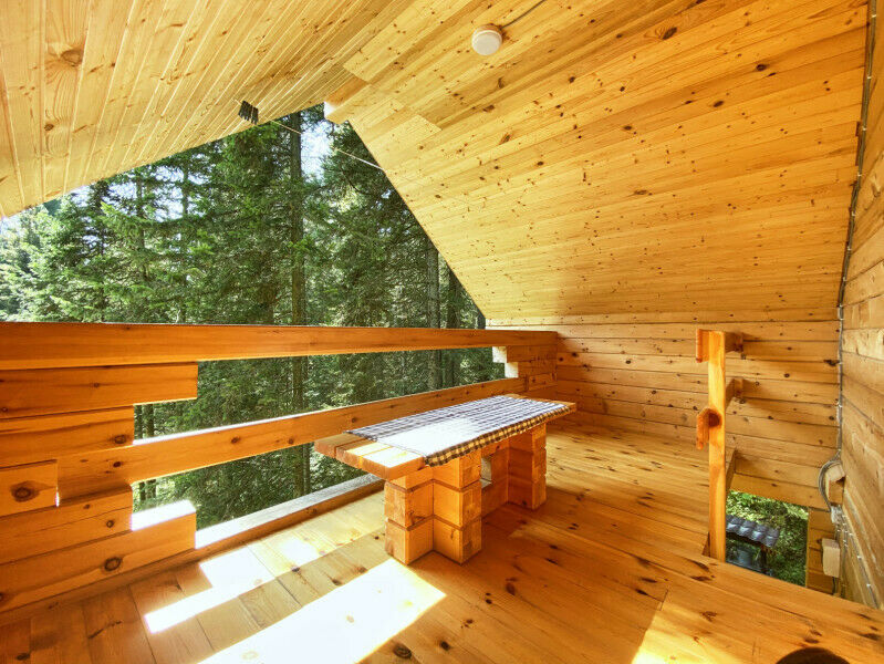На Ореховой, Горный Алтай (Республика Алтай): фото 4