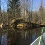 Фото 6 из отзыва о гостевом доме Беличье