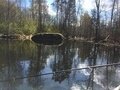 Фото 7 из отзыва о гостевом доме Беличье