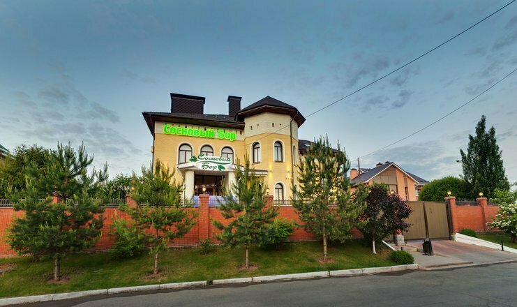 Сосновый бор, Республика Удмуртия: фото 2