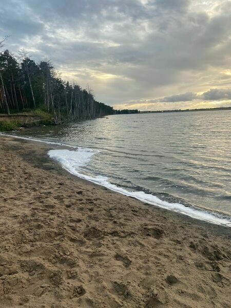 Соленое озеро, Алтайский край: фото 3