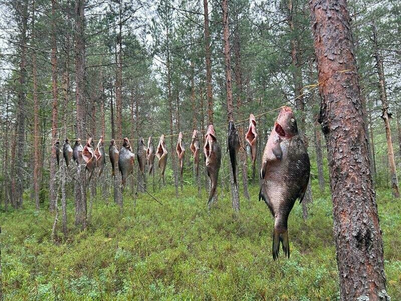 Фото 1 из отзыва о гостевом доме Ильинка в Карелии