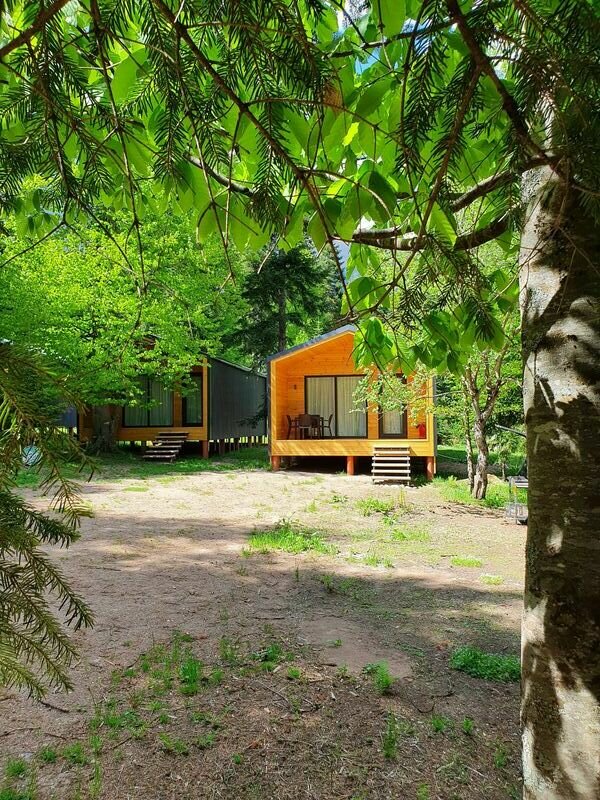 База отдыха Сияние Family Club, Архыз, Республика Карачаево-Черкесия