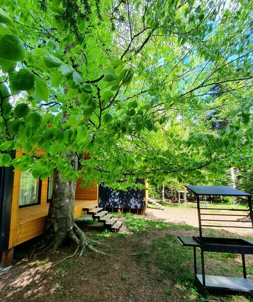 Сияние Family Club, Республика Карачаево-Черкесия: фото 5
