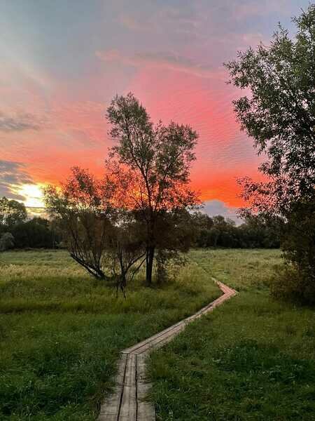 Дом Охотника и Рыбака, Томская область: фото 5