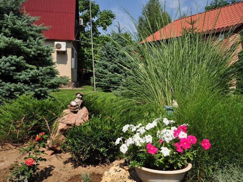 Пансионат Дельфин, Заозерное, Крым