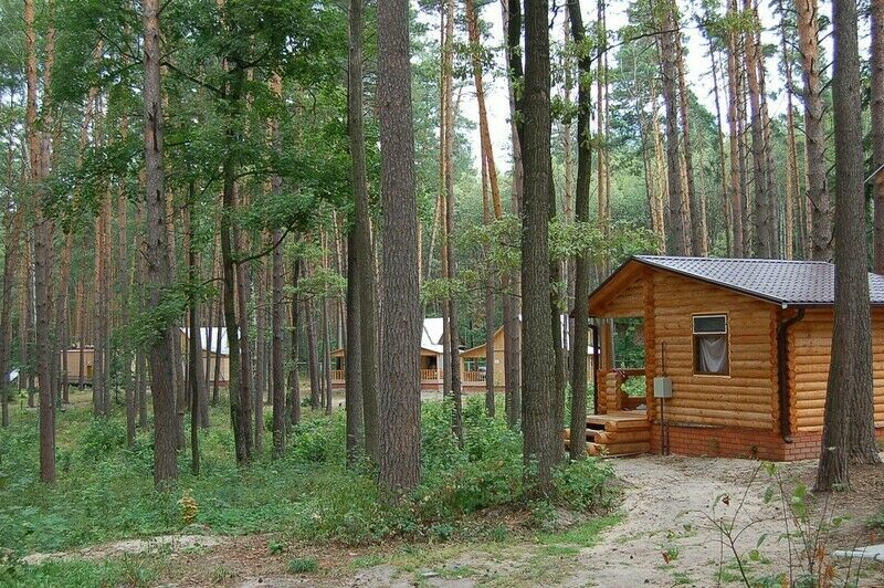Территория | Иволга, Воронежская область