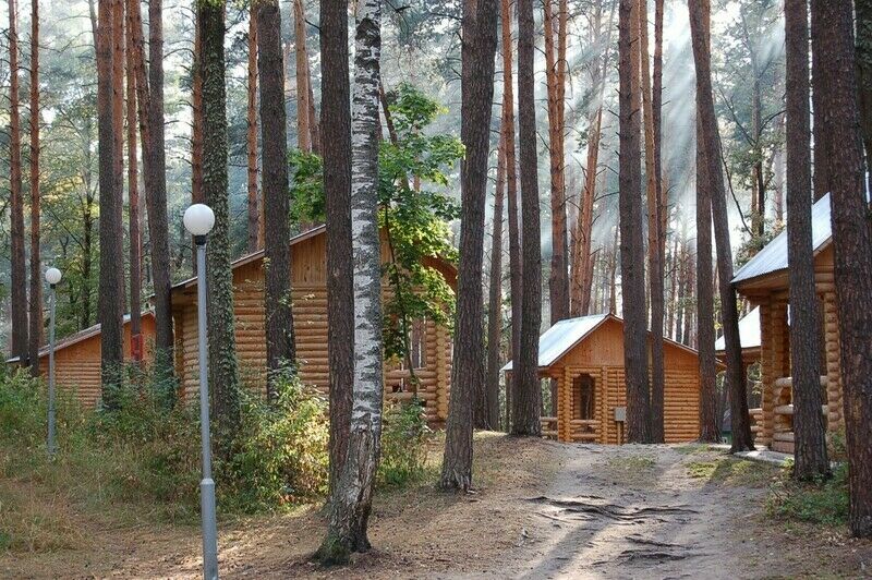 Территория | Иволга, Воронежская область
