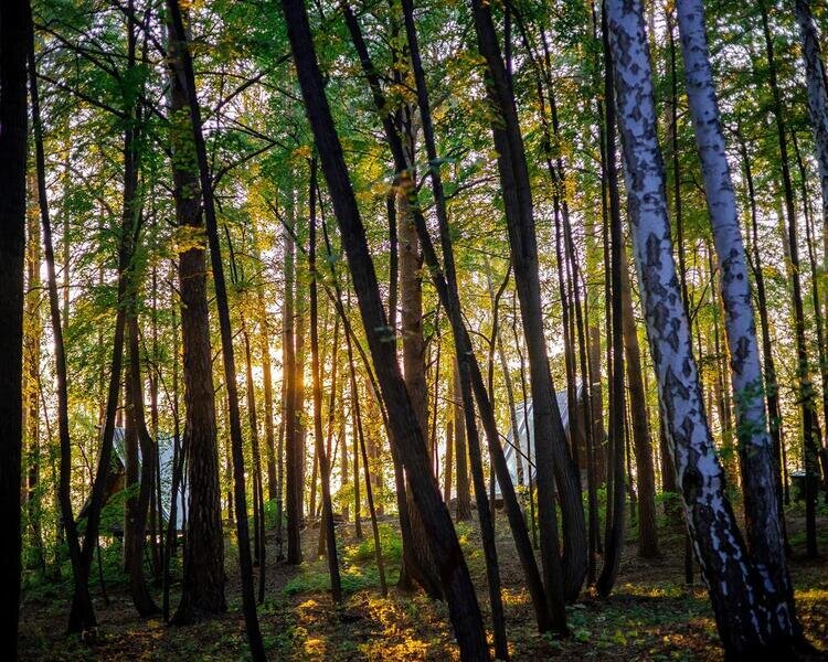 База отдыха Светлячок, Челябинская область: фото 5