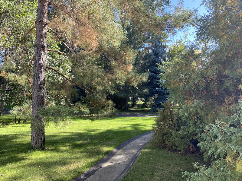 Фото 3 из отзыва о загородном клубе Andreeff Club