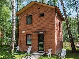 Золотая рыбка, Московская область: фото 5