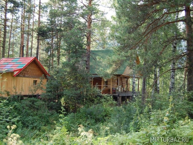 Витязь, Алтайский край: фото 2