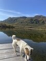 Фото 3 из отзыва о спа-отеле Лагуна