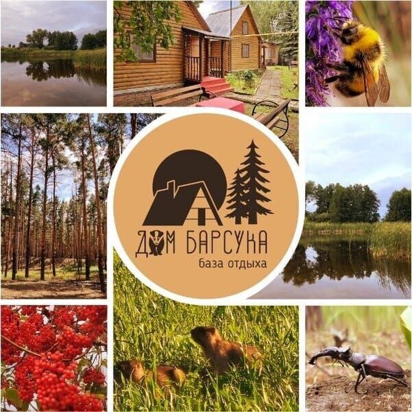 Дом Барсука, Саратовская область: фото 2