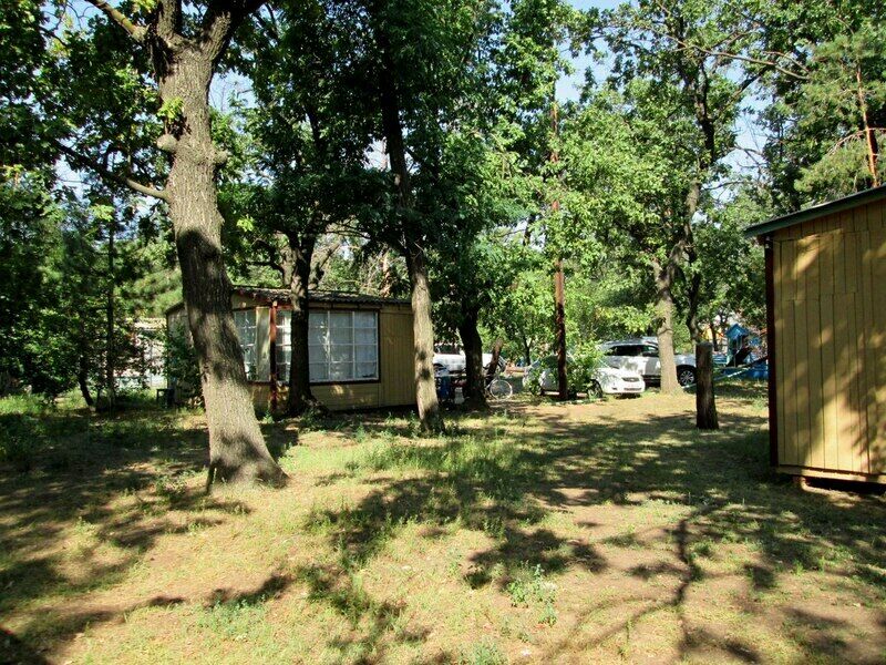 База отдыха Дача Поддубного, Волгоградская область, Краснослободск Волгоград Краснослободск поселок Вторая Пятилетка Среднеахтубинский район