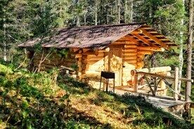 Дом Лесной, База отдыха Баба Яга, село Артыбаш