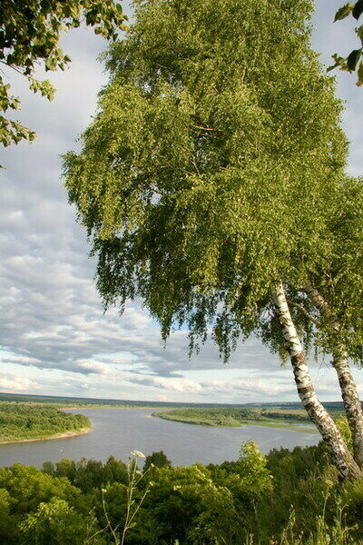 Мещерский городец, Рязанская область: фото 5