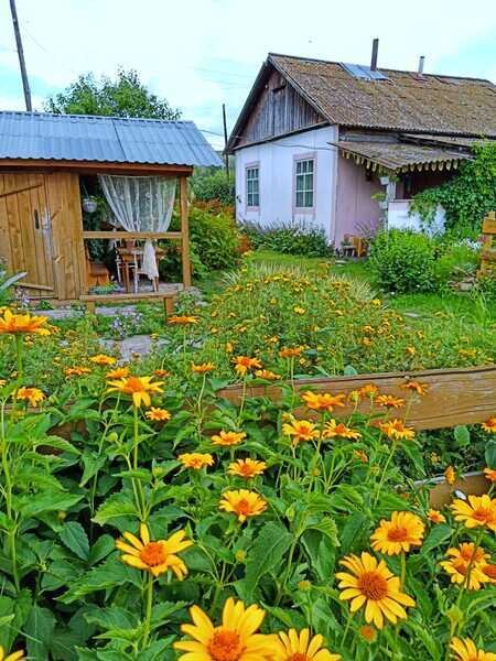 К бабушке, в деревню, Алтайский край: фото 5