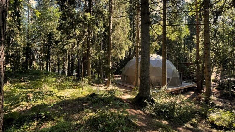 Вили Улей Карелия, Республика Карелия: фото 3