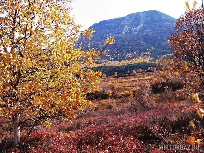 Алтай, Камчатский край: фото 3