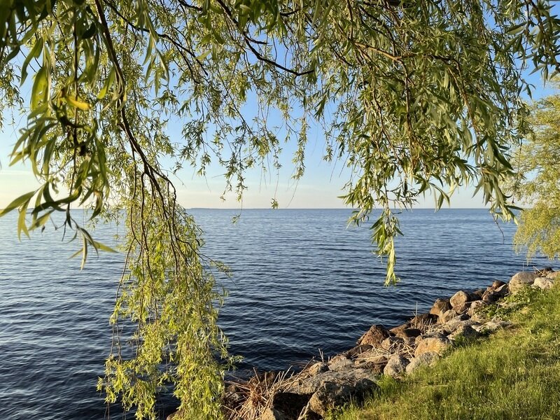 Фото 4 из отзыва об отеле Плесков