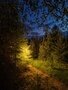 Фото 6 из отзыва о гостевых домах Деревня Йети