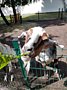 Фото 2 из отзыва о парк-отеле Дубрава