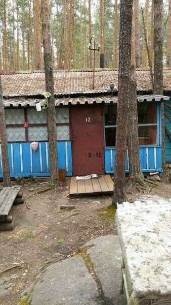 Сосновая горка, Челябинская область: фото 3