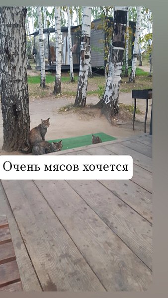 Фото 1 из отзыва о базе отдыха Философия отдыха