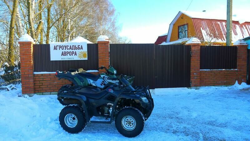 Усадьба Аврора, Староселье, Могилёвская область