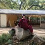 Фото 2 из отзыва о дачном клубе Усадьба Репино