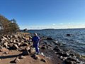 Фото 9 из отзыва о гостевом доме Хутор у залива
