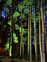 Фото 9 из отзыва о спа-отеле Алсма