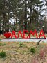 Фото 5 из отзыва о спа-отеле Алсма