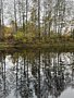 Фото 7 из отзыва о спа-отеле Алсма