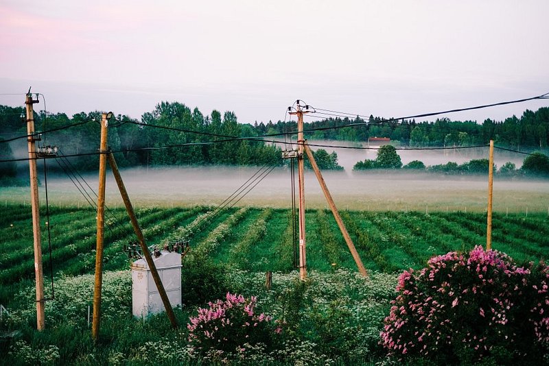 VILAJOKI AGRO, Ленинградская область: фото 3