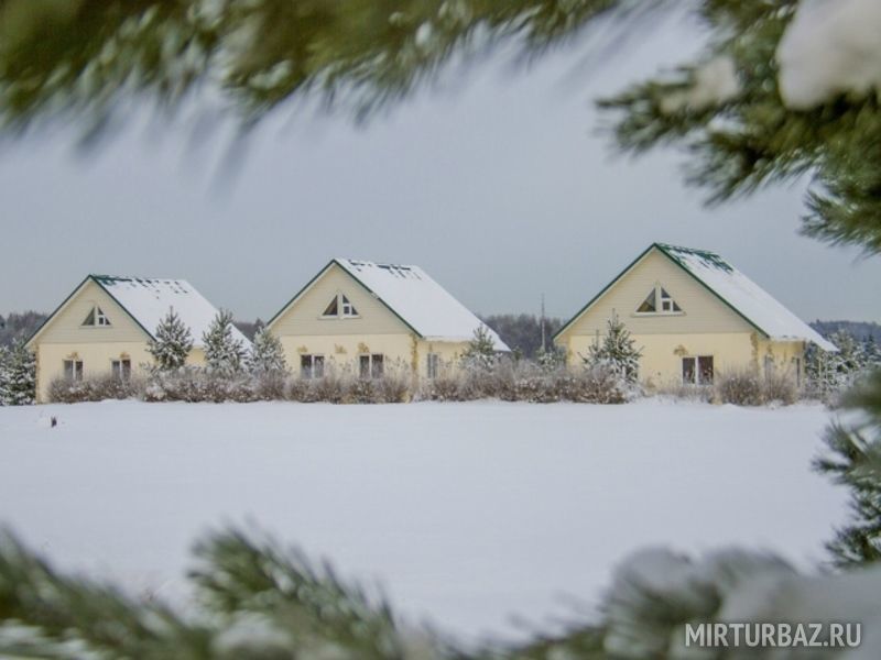 X-land, Московская область: фото 3