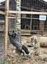 Фото 9 из отзыва о доме отдыха Боярская усадьба