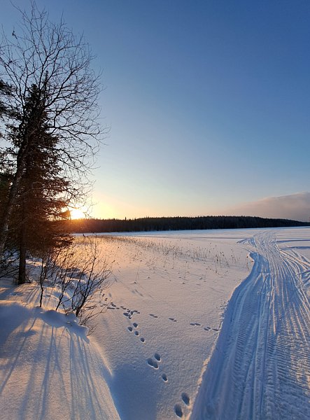 Товское озеро , Архангельская область: фото 4