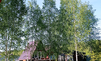 Частный дом Hide Forest