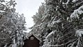 Фото 7 из отзыва о гостевом доме Алавойне