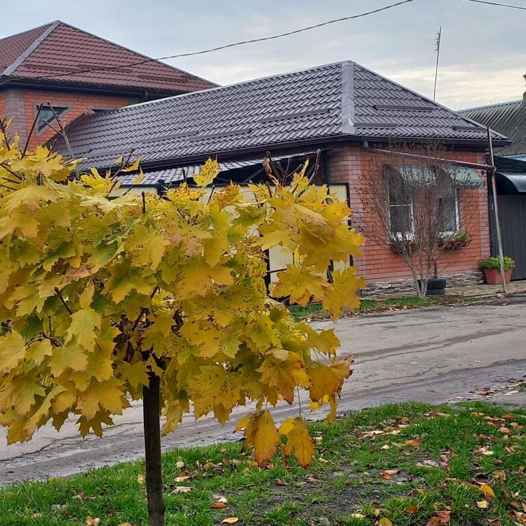 Гостевой дом Дом с садом на Камышановых, Краснодарский край, Ейск Ейск Глафировка