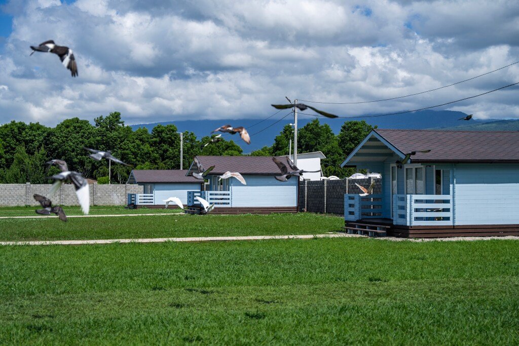 Гостевой дом Sea village Gumista, Сухум, Сухумский район