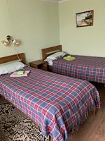 Двухместный номер Standard 2 отдельные кровати, Гостевой дом Аленушка, Онежский район
