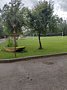 Фото 1 из отзыва о парк-отеле Чеснава