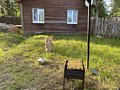 Фото 4 из отзыва об эко-комплексе Эко-хутор Ряйсяля