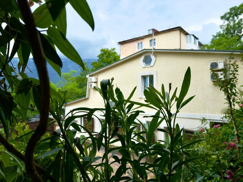 База отдыха Floral courtyard, Ялта, Крым
